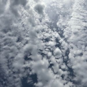 Meet your Posher, Kaylan